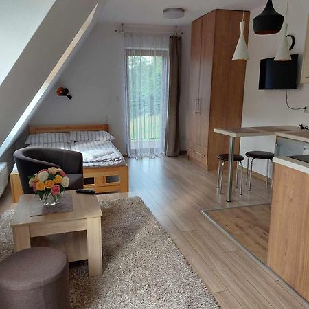 Apartamenty Cede Zakopane Kültér fotó
