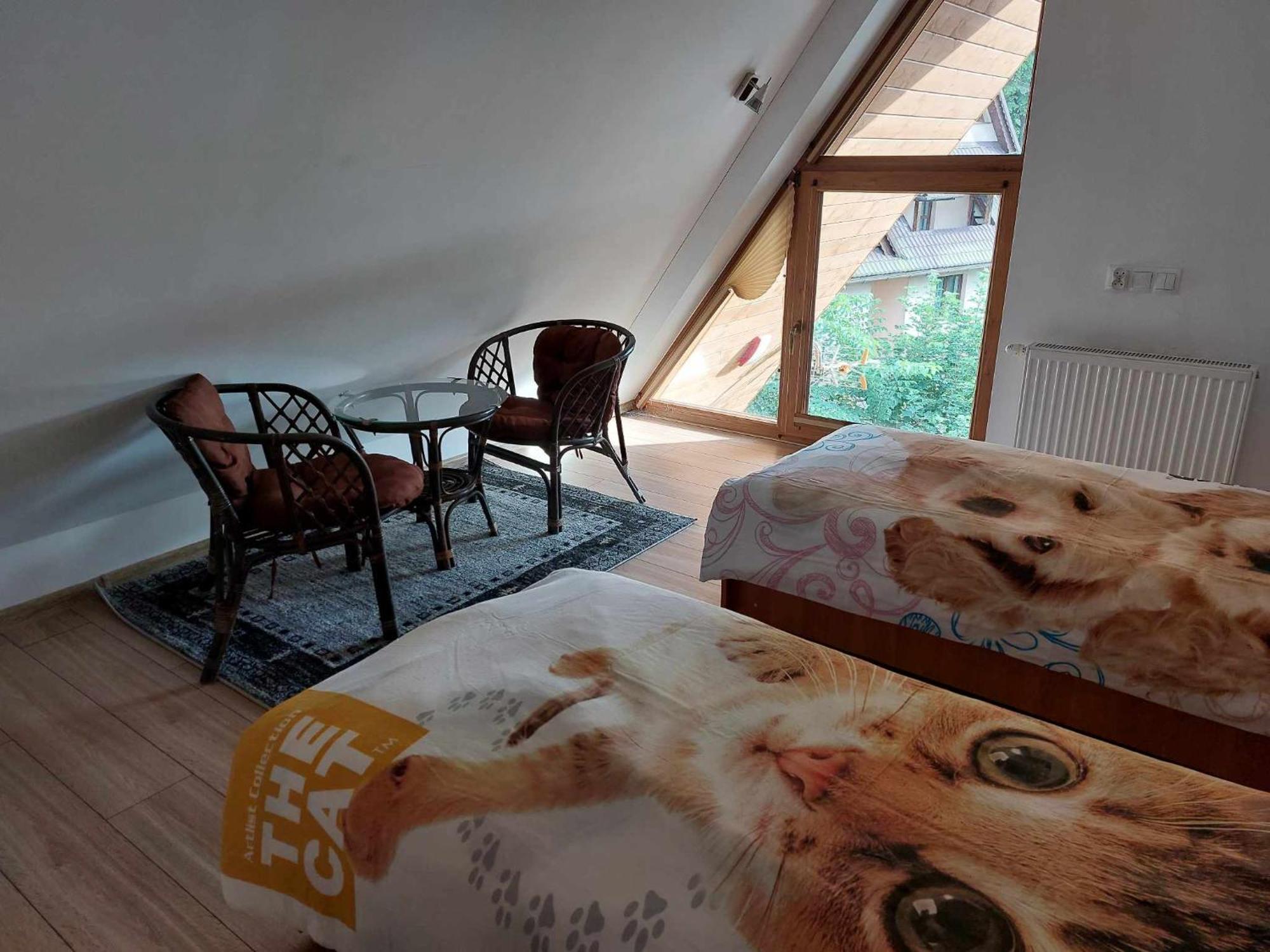 Apartamenty Cede Zakopane Kültér fotó