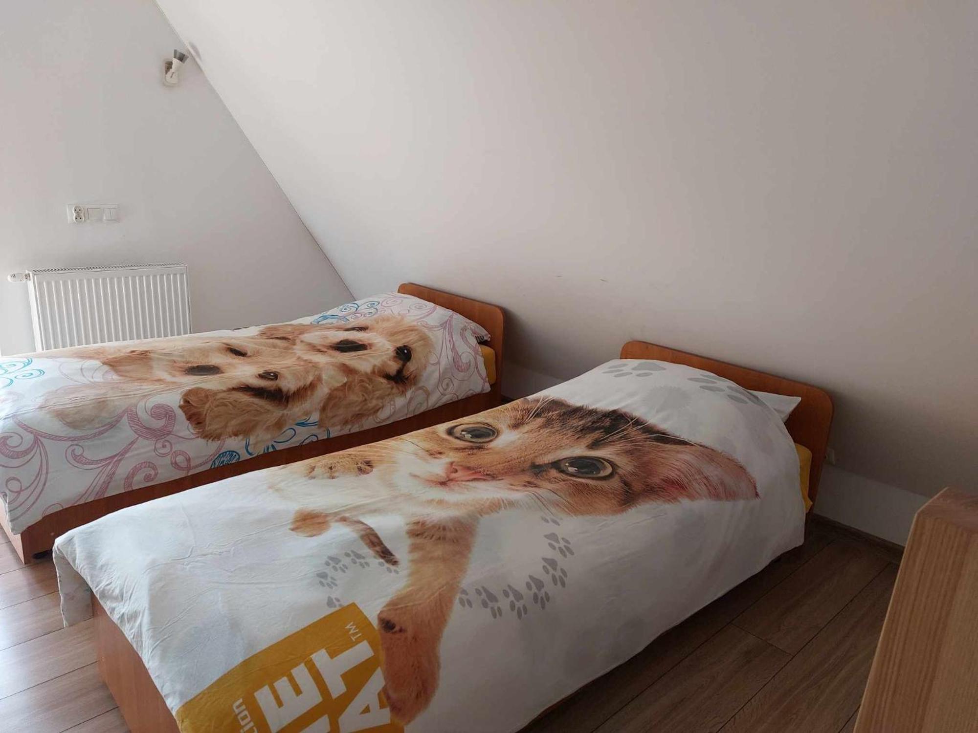 Apartamenty Cede Zakopane Kültér fotó