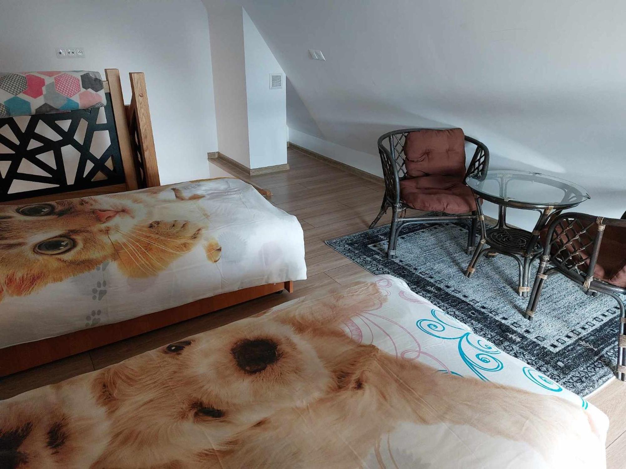 Apartamenty Cede Zakopane Kültér fotó